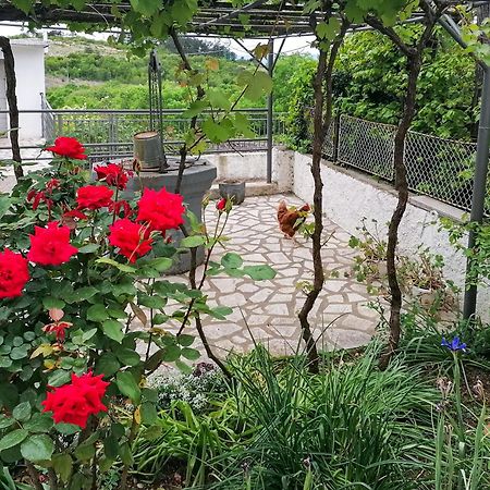 Apartman Lavanda Sa Bazenom I Okucnicom 4* Hreljin エクステリア 写真
