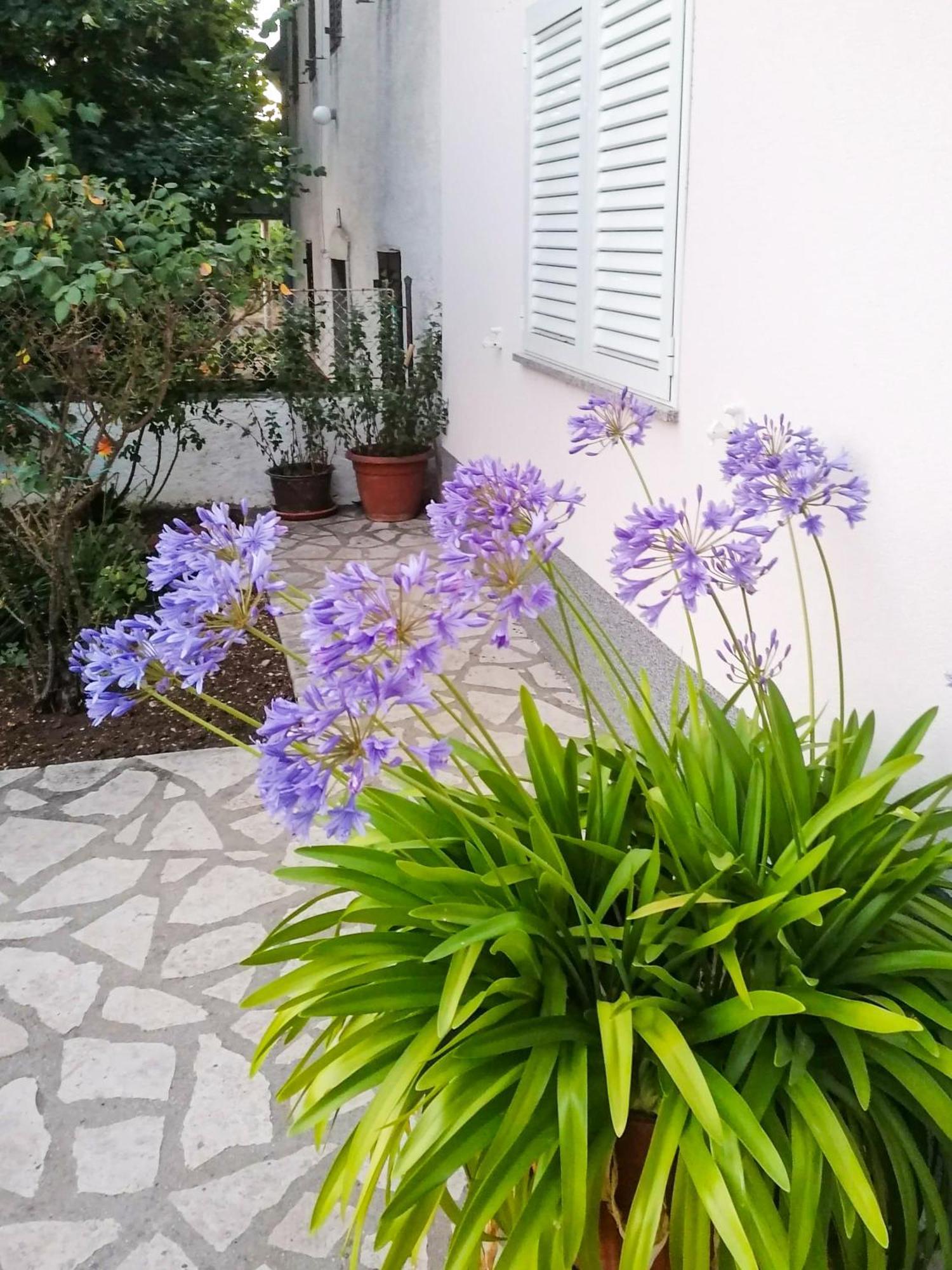 Apartman Lavanda Sa Bazenom I Okucnicom 4* Hreljin エクステリア 写真